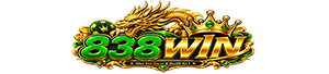 vs-logo-img